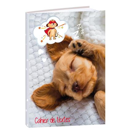 Cahier de textes Animaux Quo Vadis