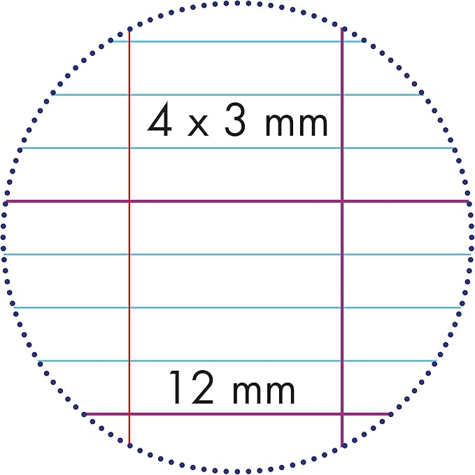 Cahier piqué 17x22 cm 32 pages- 3 mm agrandis 12/12