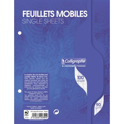 Feuilles mobiles sous étui 17x22 cm 100 pages