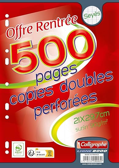 Copies doubles A4 grands carreaux 500 pages